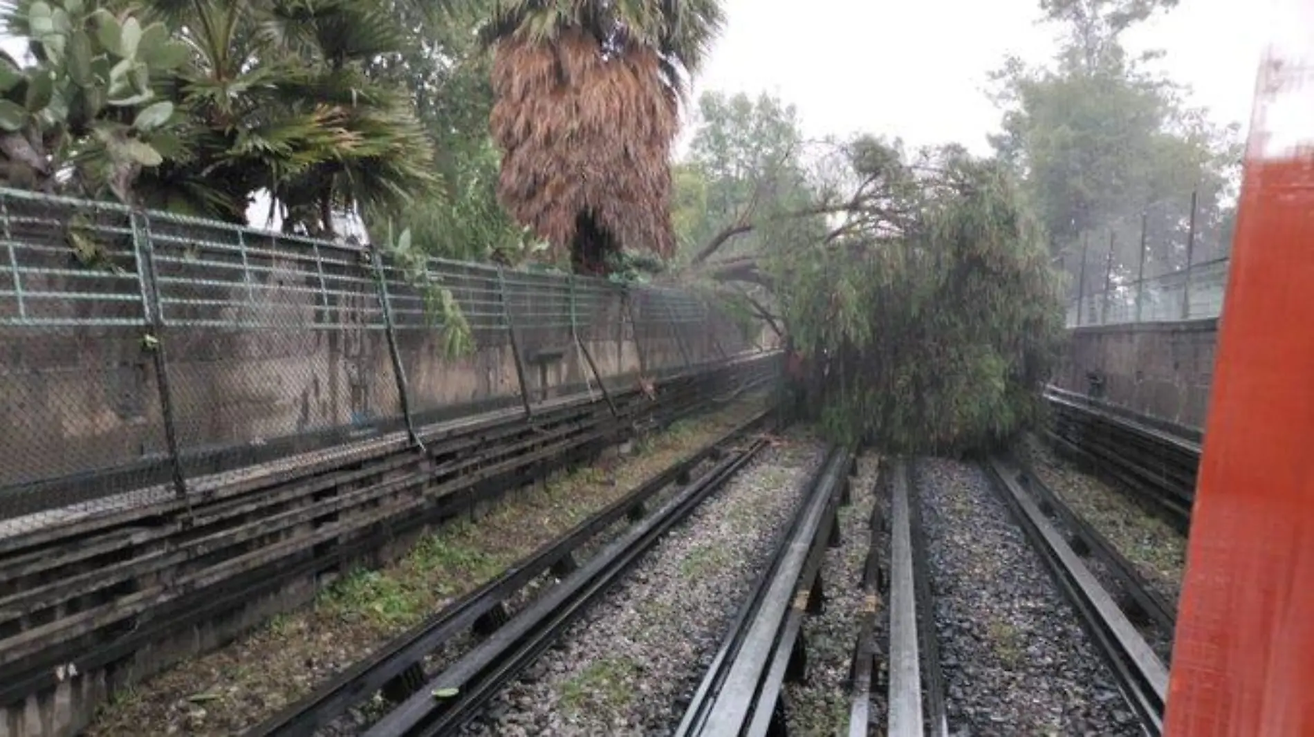 metro arbol linea 5 @GCalderon_Metro